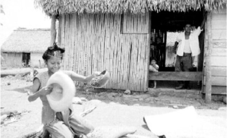 Donna mazateca pulisce il mais